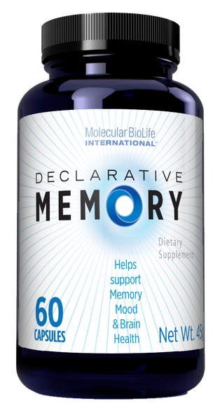 Declarative Memory