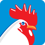Type II Avian Collagen