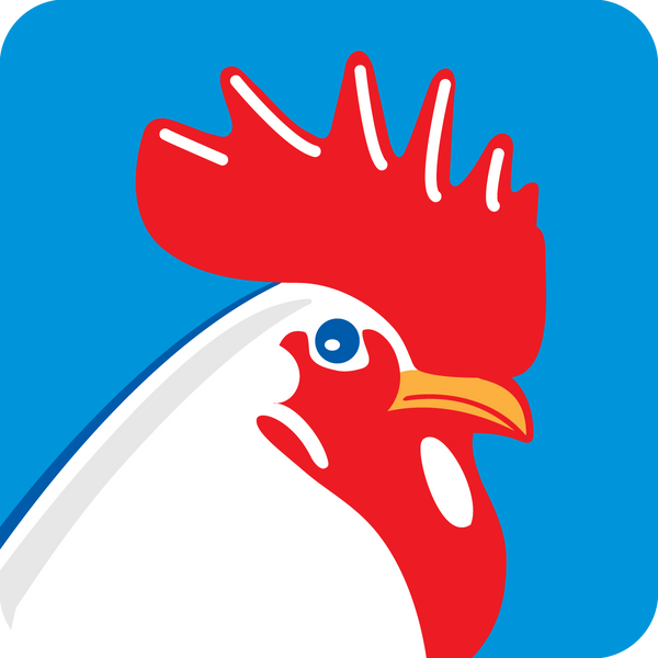Type II Avian Collagen
